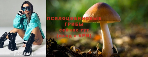 spice Волоколамск