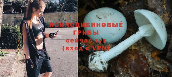 мескалин Володарск